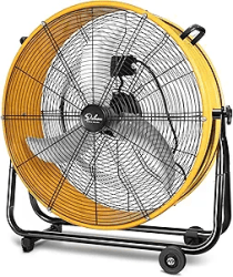 Fan - Large (30)