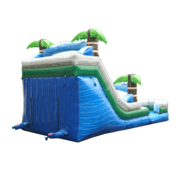 Tropical20Slide20Back 1743801626 Tropical Double Slide - 15'